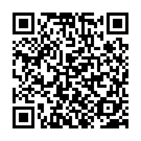 QR code for plate NYK 368