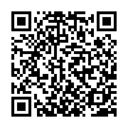 QR code for NYL 101