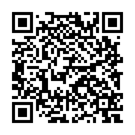 QR code for plate NYL 124