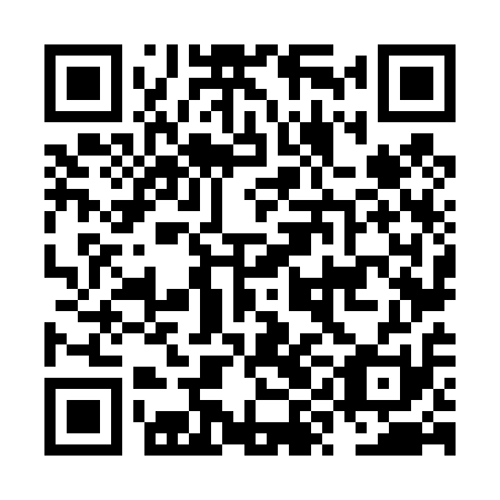 QR code for NYN 411