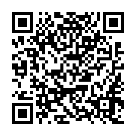 QR code for NYN 656