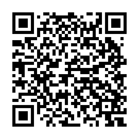 QR code for NYP 242