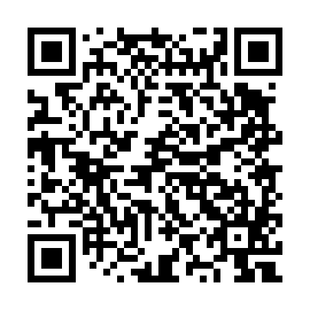 QR code for plate NYP 485