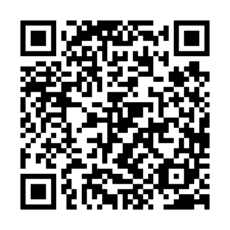 QR code for NYP641