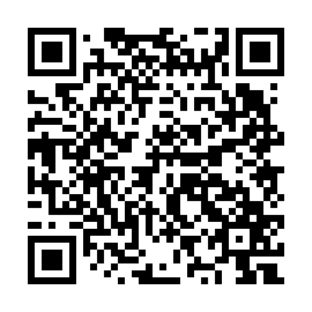 QR code for plate NYP 667
