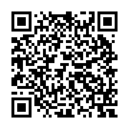 QR code for NYQ 295