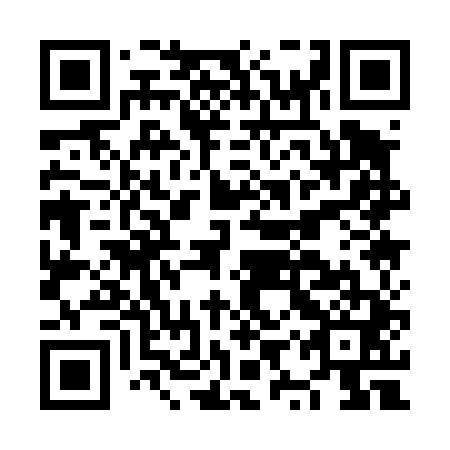 QR code for NYQ 441