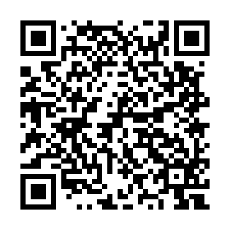 QR code for NYQ 596