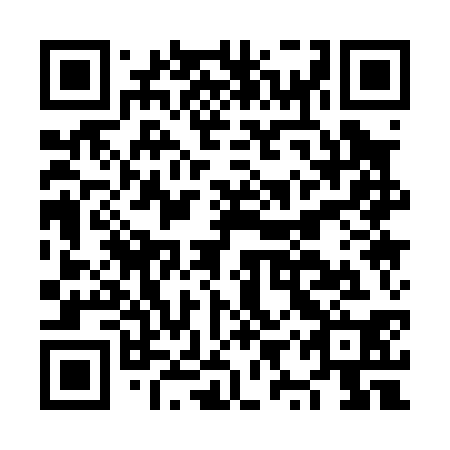 QR code for plate NYQ 030