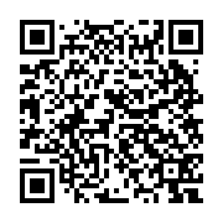 QR code for plate NYR 272