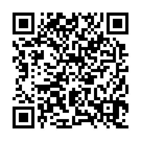 QR code for plate NYR 304