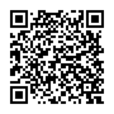 QR code for NYR953