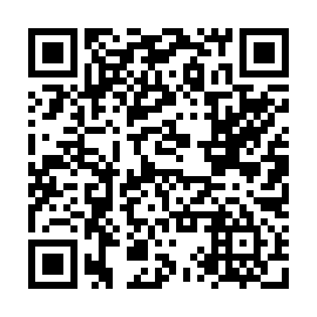 QR code for NYT 295