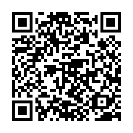 QR code for plate NYT 029