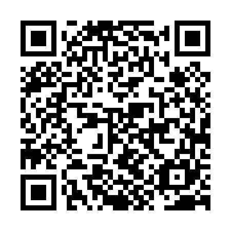 QR code for NYT065
