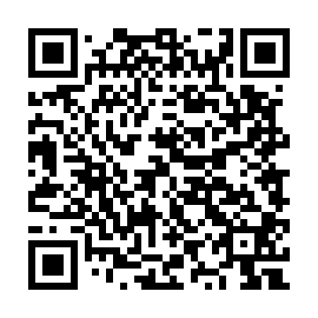 QR code for NYT500