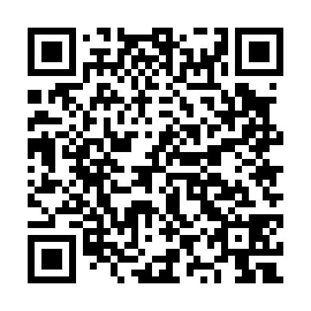 QR code for NYU038