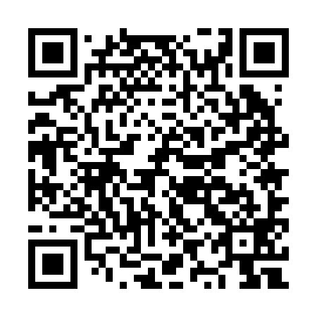QR code for plate NYU 299