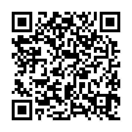 QR code for NYV381