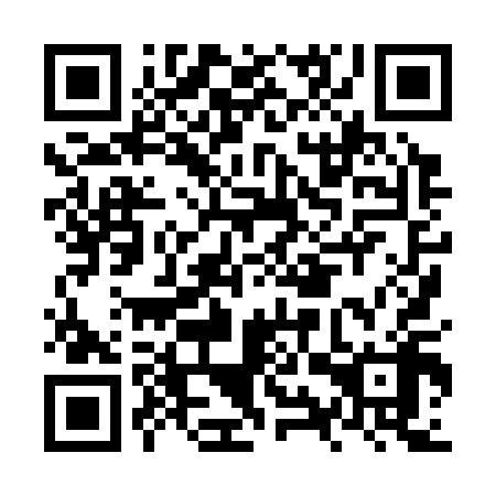 QR code for NYX 318
