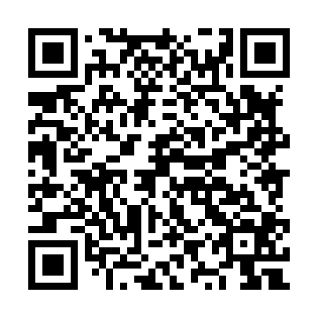 QR code for plate NYX 804
