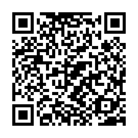 QR code for plate NYZ 029