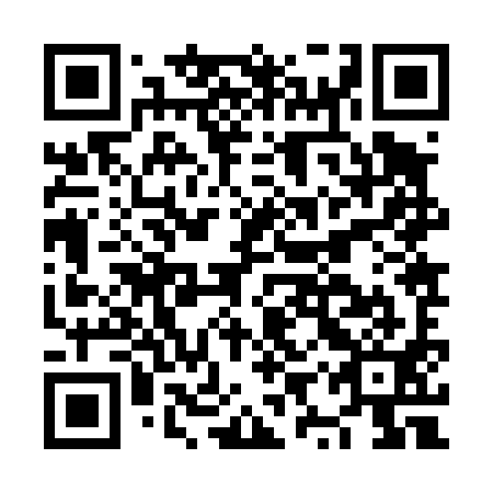 QR code for plate NYZ 491