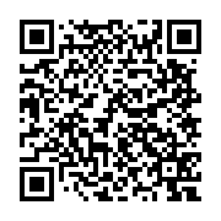 QR code for plate NYZ 575
