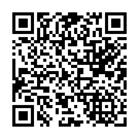 QR code for NZ 0317