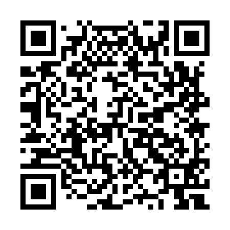 QR code for NZ 1991