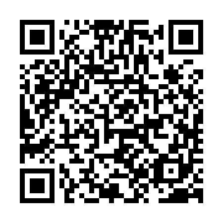 QR code for NZ2950