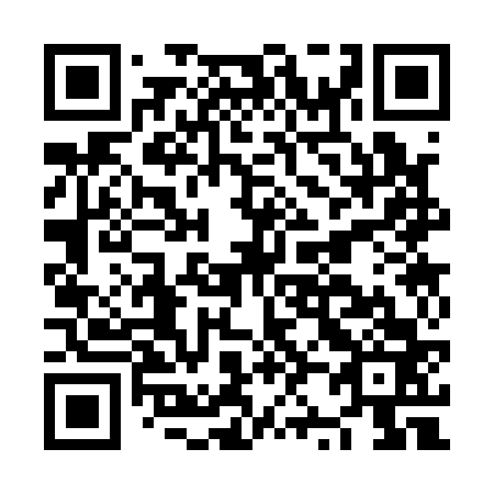 QR code for plate NZ 3163