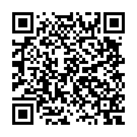 QR code for plate NZ 3451