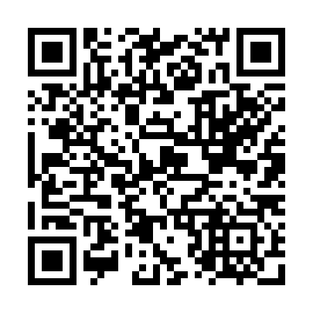 QR code for NZ6383