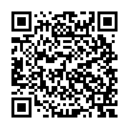 QR code for NZB 381
