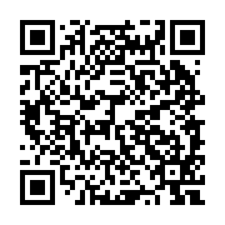 QR code for NZD 295