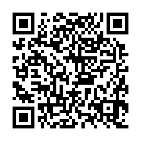 QR code for plate NZF 370