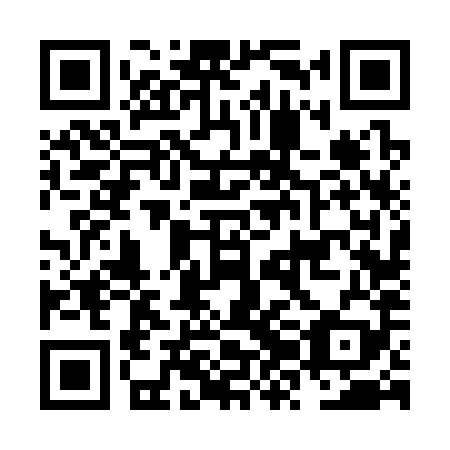 QR code for plate NZF 389
