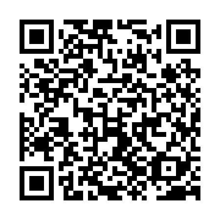 QR code for NZI 229
