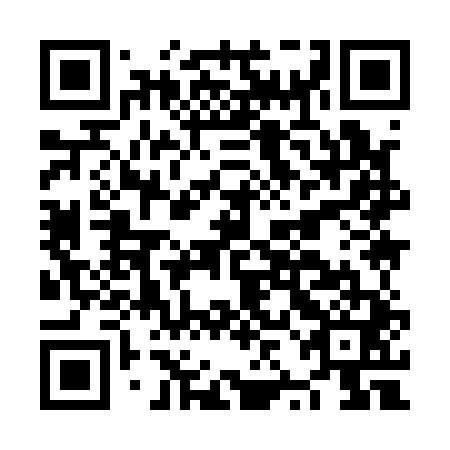 QR code for NZI141