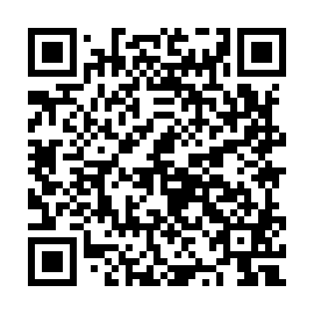QR code for NZI981