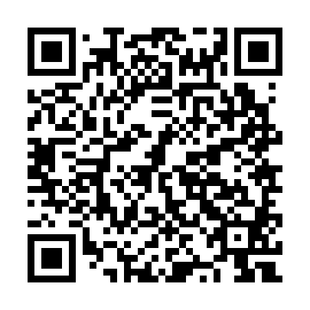 QR code for NZJ380