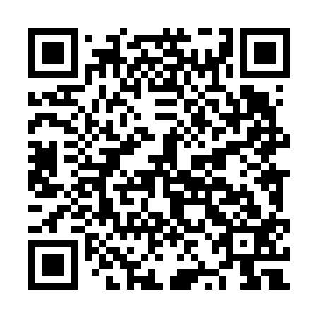 QR code for NZL 613