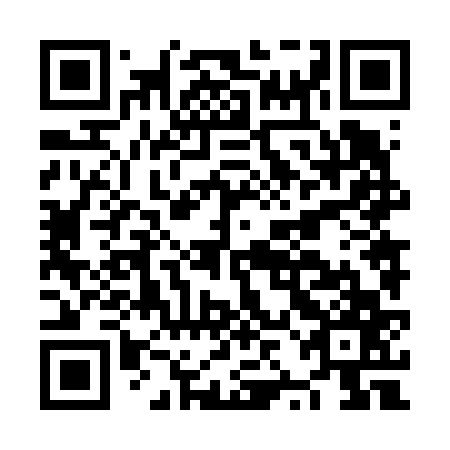 QR code for NZN 667