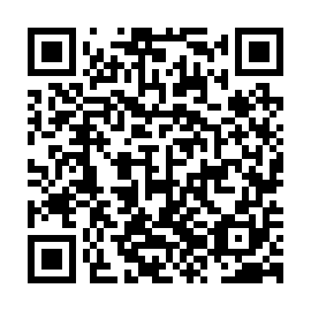 QR code for NZN250