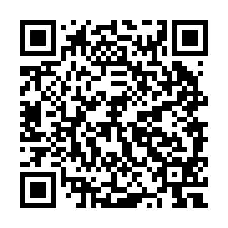 QR code for plate NZN 294