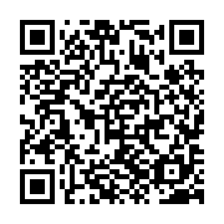 QR code for NZN295