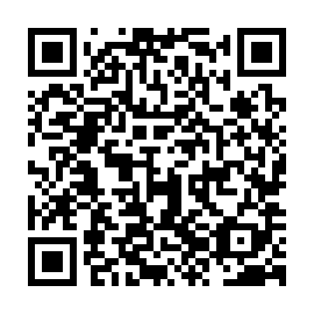QR code for NZN389