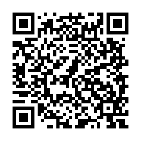 QR code for plate NZN 597