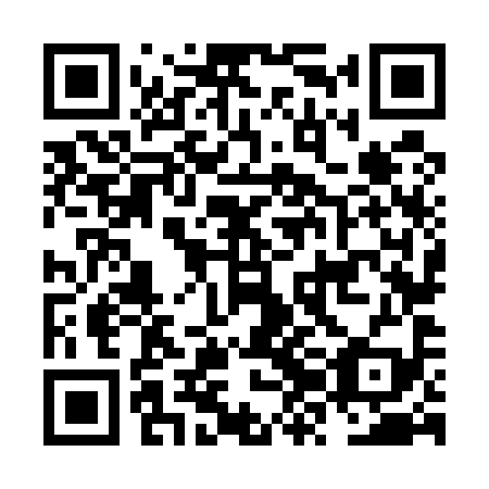 QR code for plate NZN 599